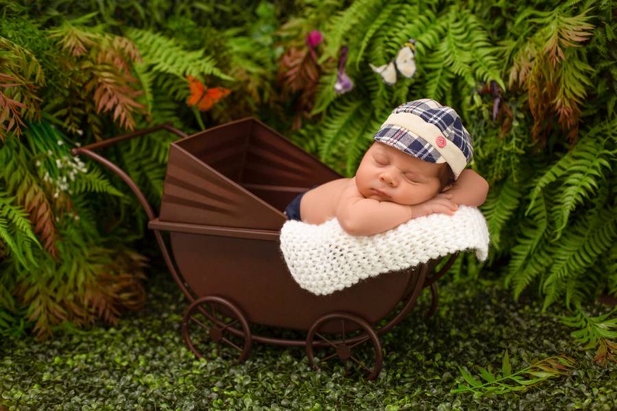 Newborn Meninos  de Davi 21 dias 