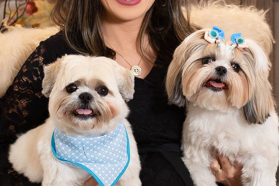 Gestante de Participação dos Pets 