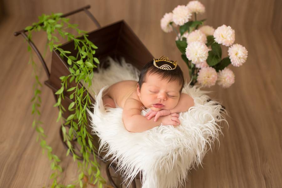 Newborn Meninas  de Anna Clara 7 dias