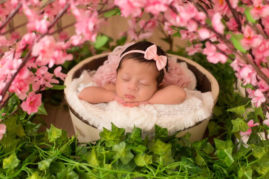 Newborn Meninas  de Laura