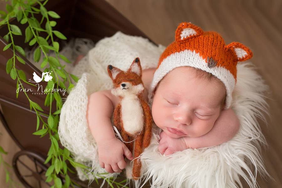 Newborn Meninos  de Leonardo 