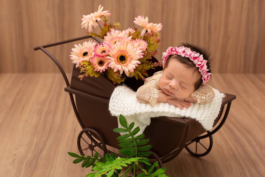 Newborn Meninas  de Maya