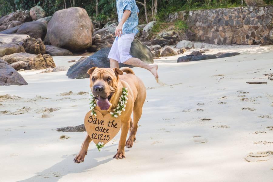 Ensaios de Jessica e Patrick