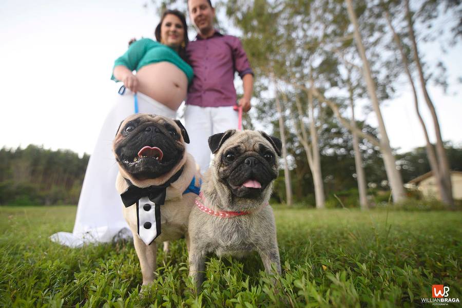 Gestante de Gestante | Thaíse