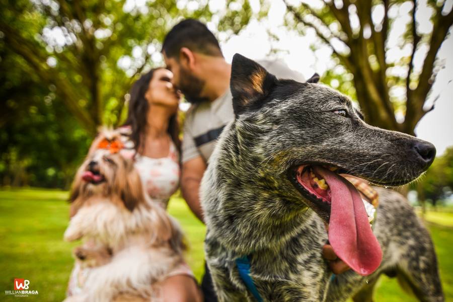 Pré-Wedding de Melissa e Fábio