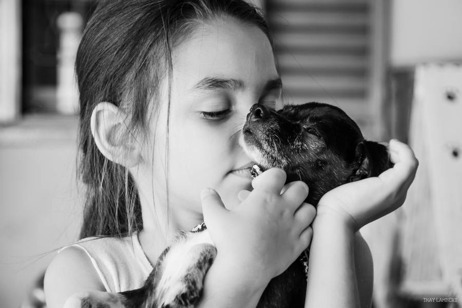 Ensaios de Família e Infantil de Aneley e família