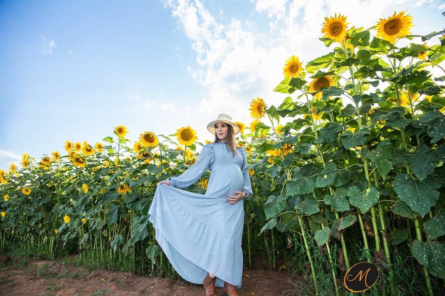 Gestantes de Ensaio Gestante - Alexandra