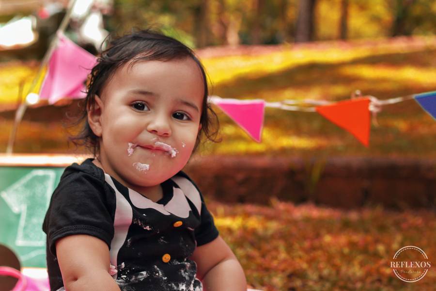 Ensaio Infantil de Ensaio Fotográfico de Aniversário no Parque do Jaraguá - Comemorando o Primeiro Aninho da Manu