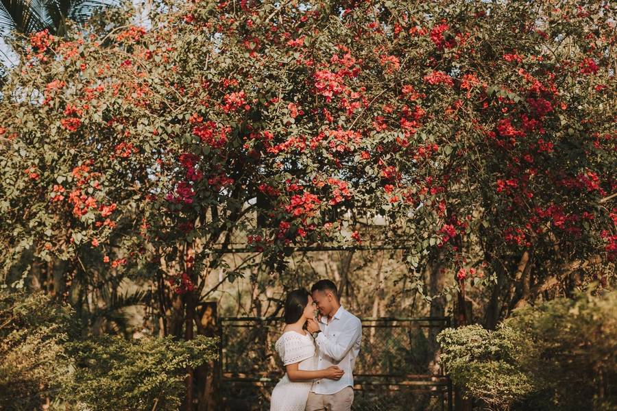 Ensaio Pré Wedding de Dara & Hugo