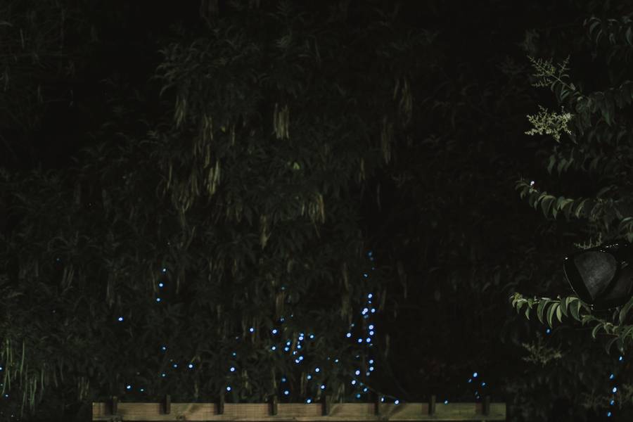 Casamento de Carol  e Leandro