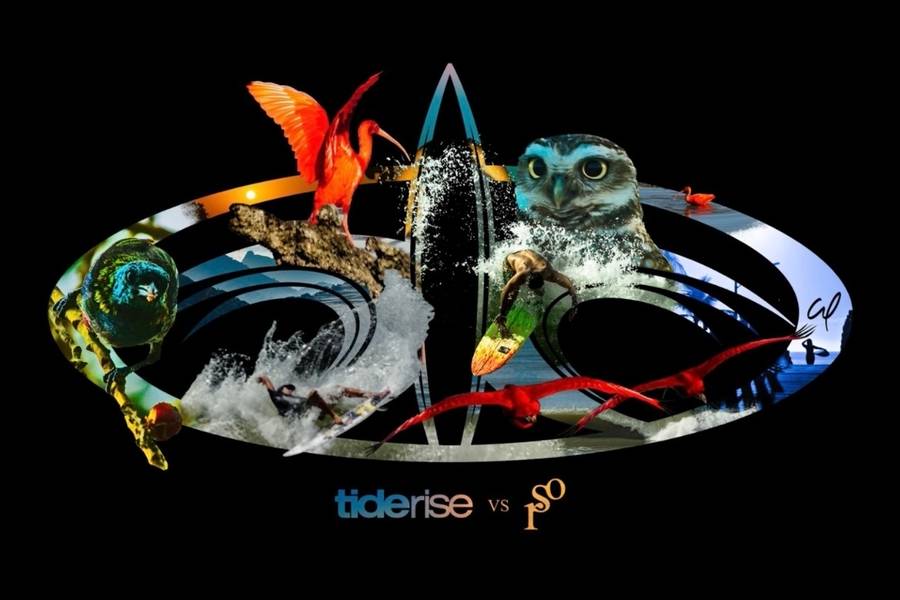 COLLAB de TIDERISE vs ROOTSTUDIONE COLLAB RAWFINEART SÉRIE LIMITADA