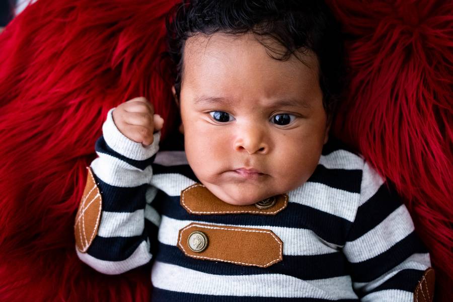 De 1 a 3 meses de Listras 