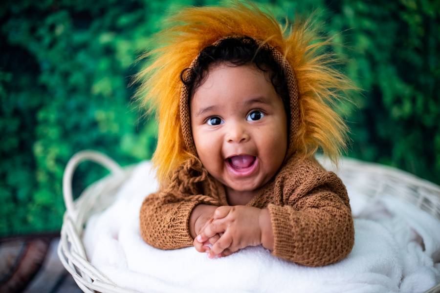 De 1 a 3 meses de Leãozinho