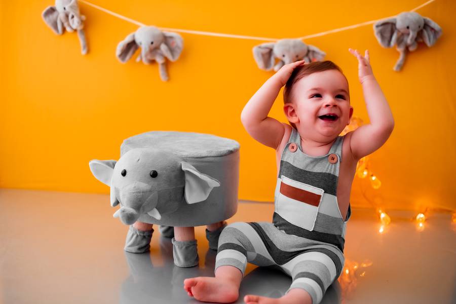 De 9 a 12 meses de Elefantinho