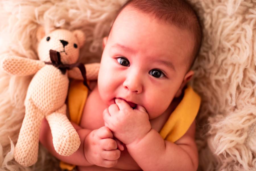 De 1 a 3 meses de Poltrona Flokati