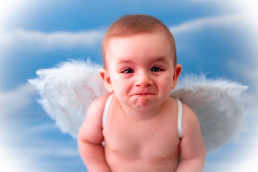 De 6 a 9 meses de Anjinho