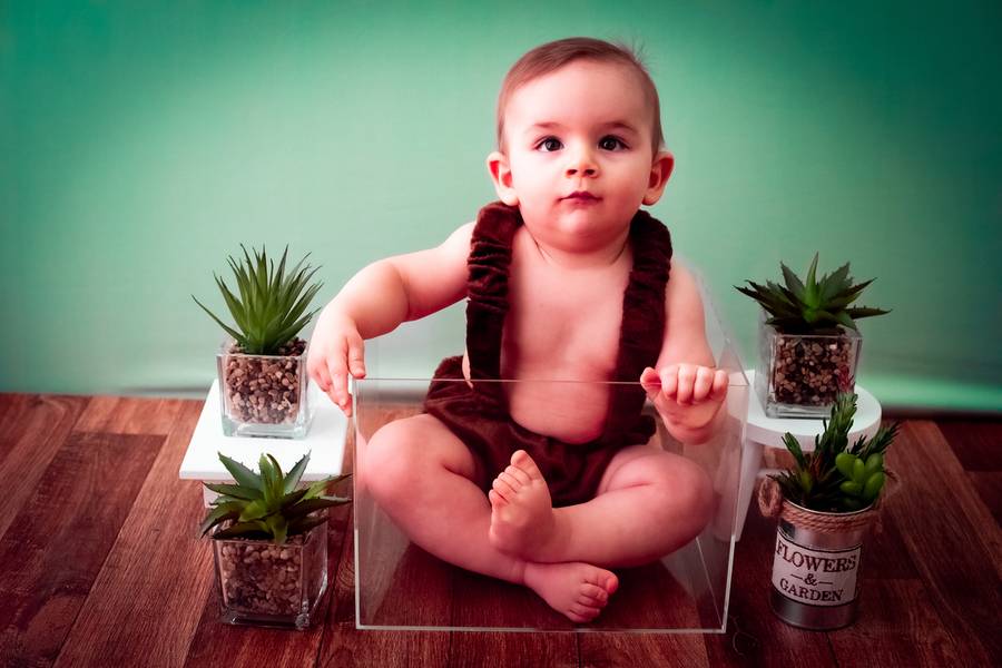 De 6 a 9 meses de Plantinha