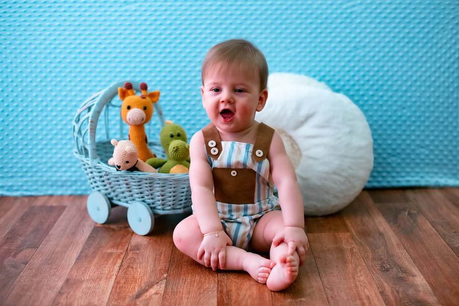 De 9 a 12 meses de Carrinho de Bebê