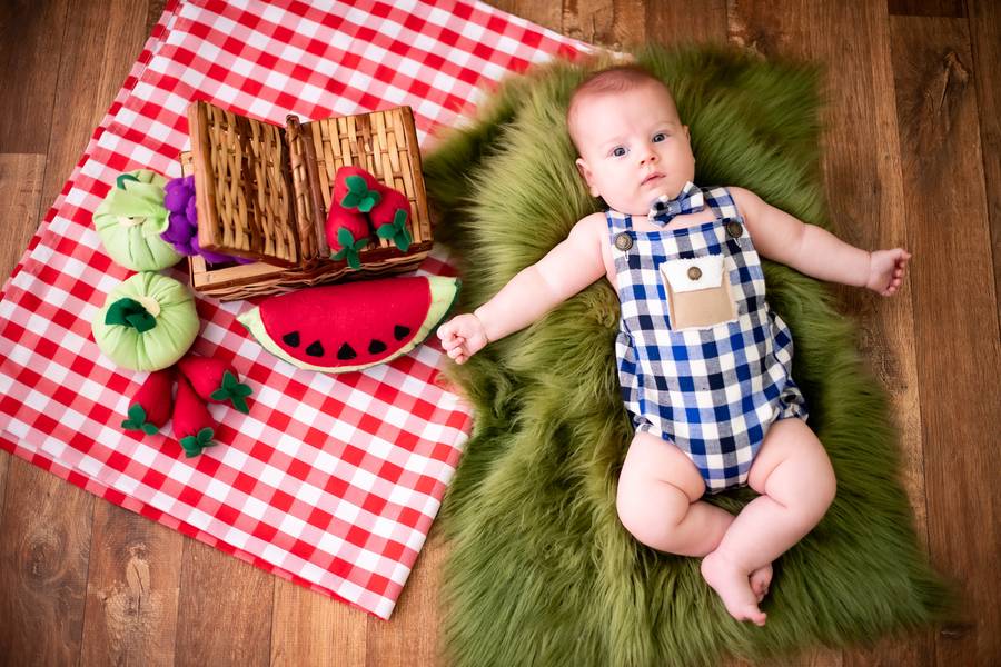 De 3 a 6 meses de Picnic