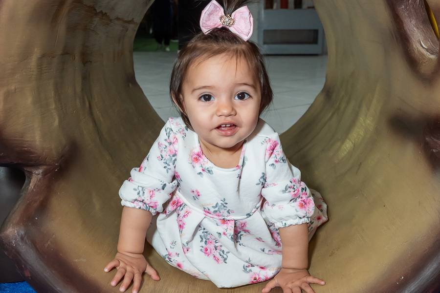 Aniversários de Anne 1 ano