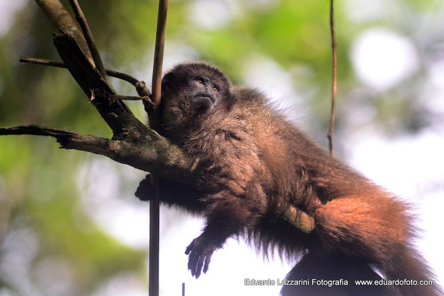 Viagens e Natureza de Vale do Matutu