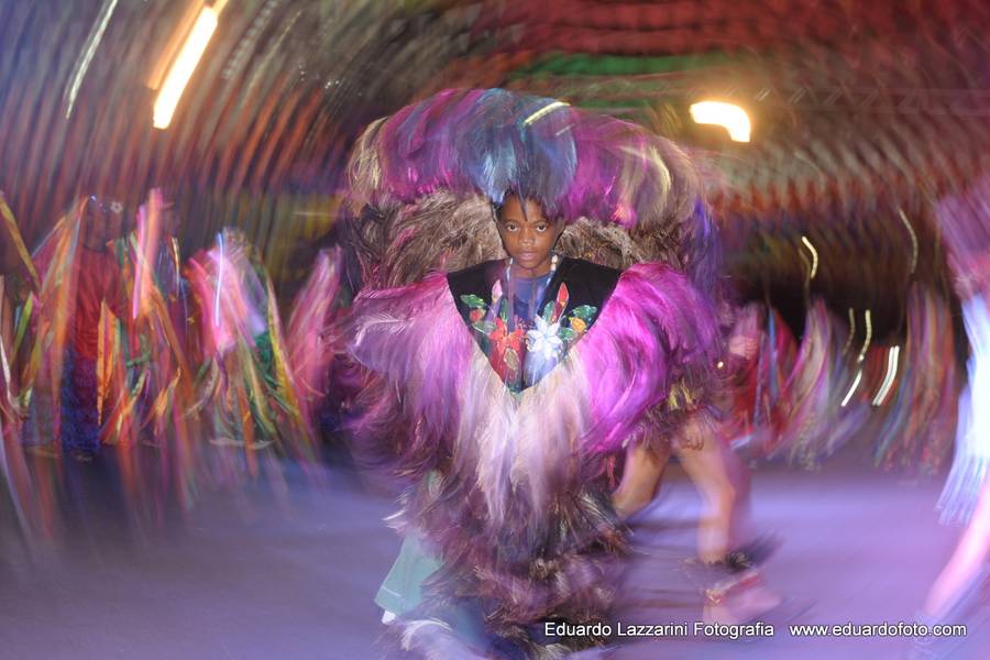 Viagens e Natureza de Bumba meu Boi