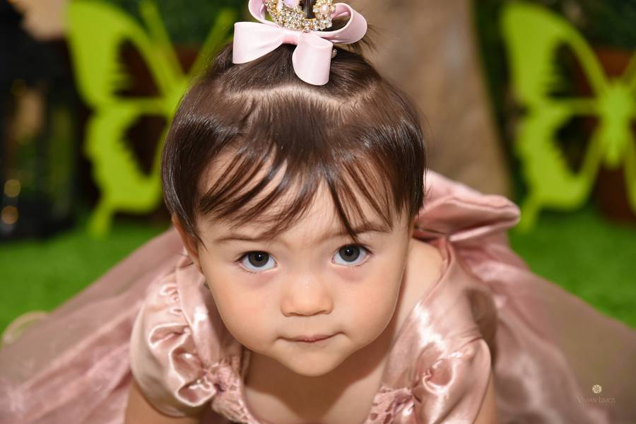 Aniversário Infantil de Maria Clara 2 anos 