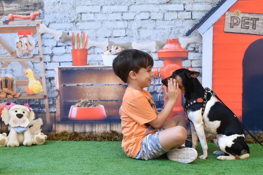 Estúdio Sessões de Tema: Ensaio Pet Love