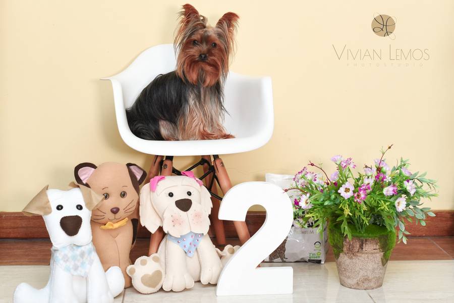 Pet  de Kiara - 2 aninhos