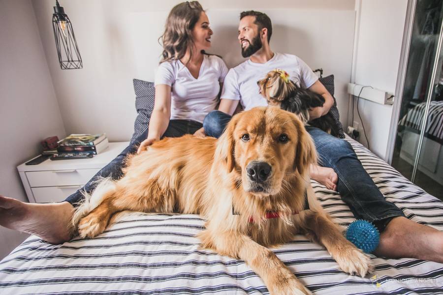 Ensaio de Família de Ensaio | Karina + Felipe