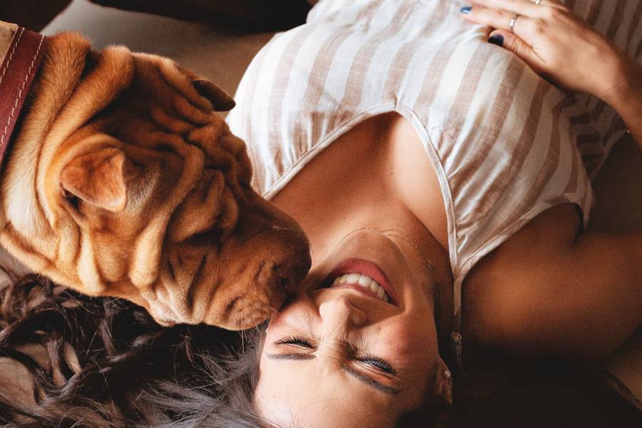 Famílias de Larissa 