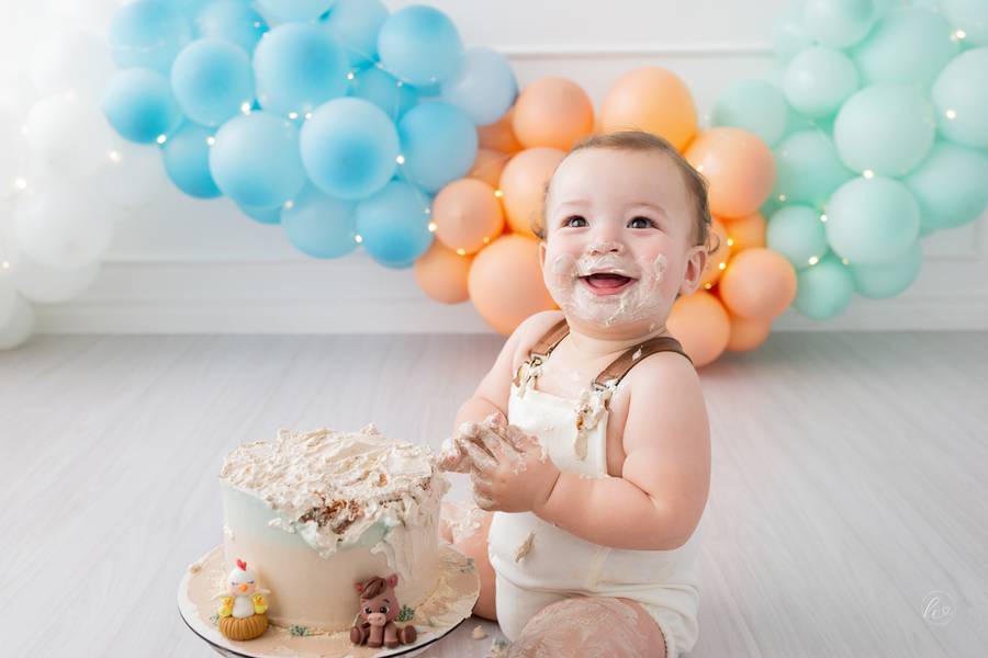 Smash The Cake de Leonardo, 1 ano 