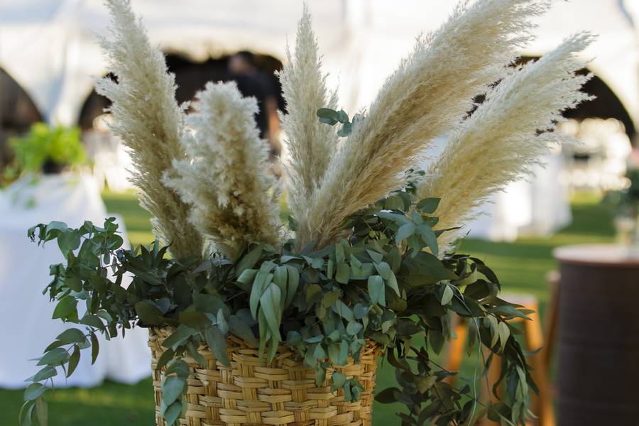 Bodas de Euge & Fran