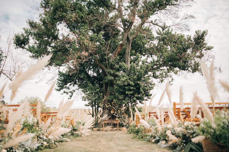 Casamentos de Claudia e Lucas