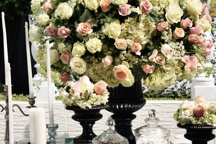 Boda de Día de BLACK and BLUSH 