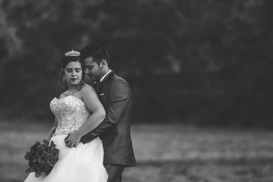 Casamentos de Andreia & Marco