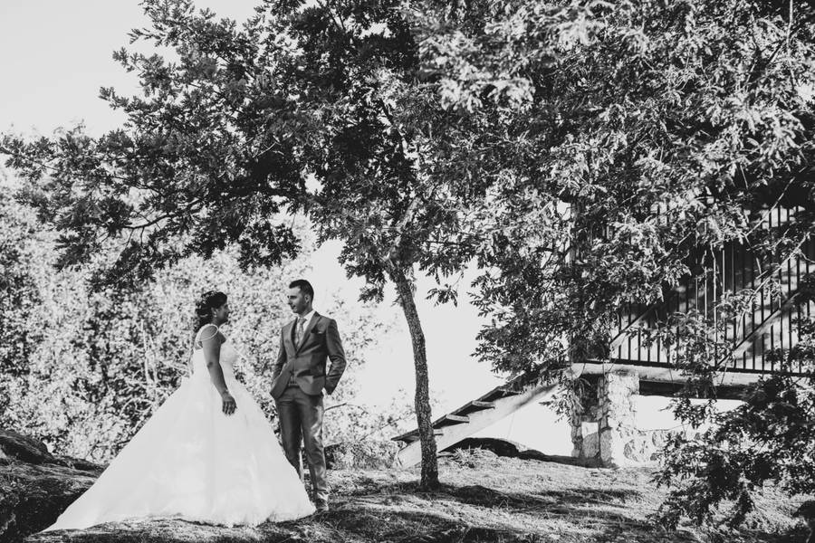 Casamentos de Andreia & Fábio