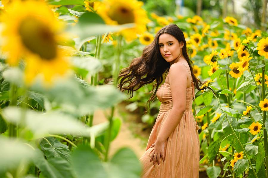 15 Anos de Ensaio 15 anos Ana Luiza / Fazenda Flores Heckert / Nova Friburgo / Rio de Janeiro