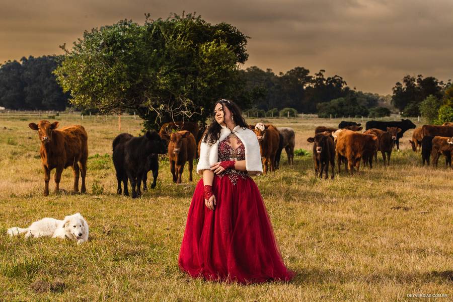 Ensaio #15 de Julia Schroeder