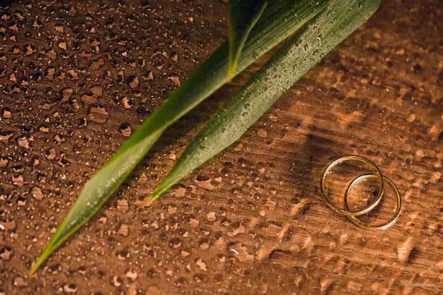 Casamento de Casamento Lorena e Daniel