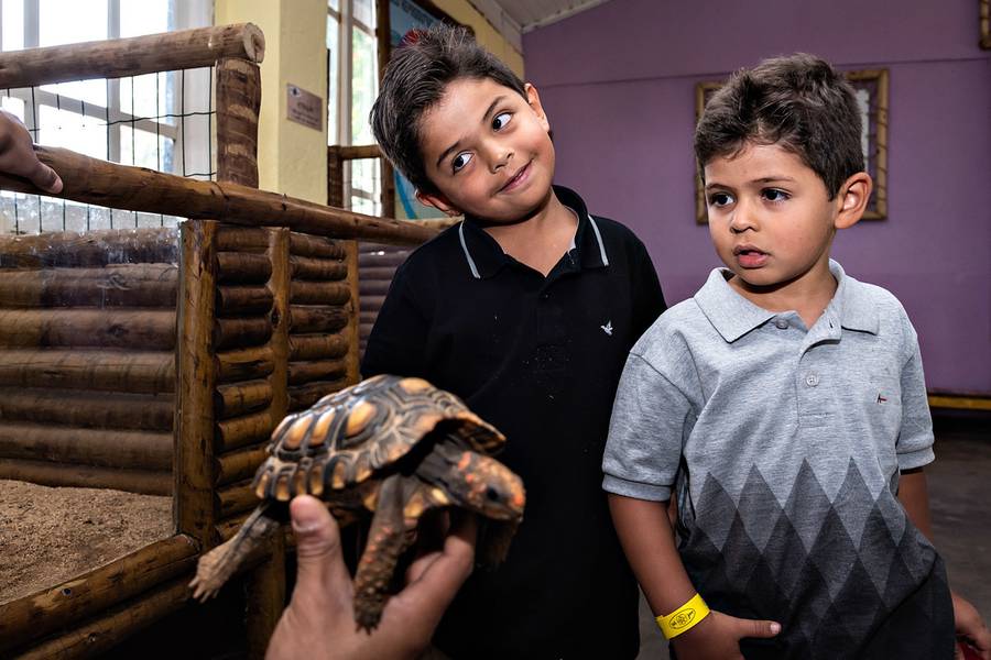 Aniversário de Pedro 6 anos e João 4 anos