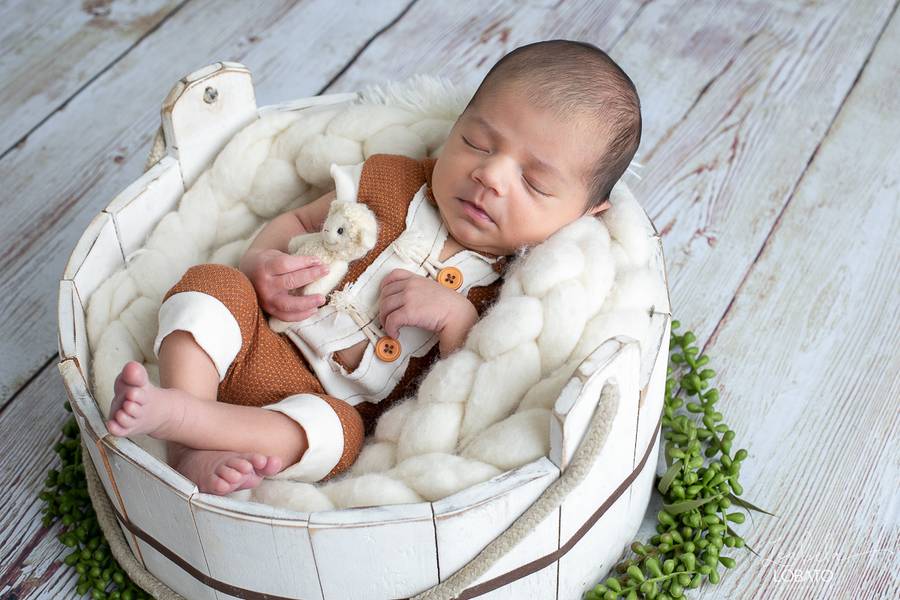 Newborn de Newborn - José Francisco