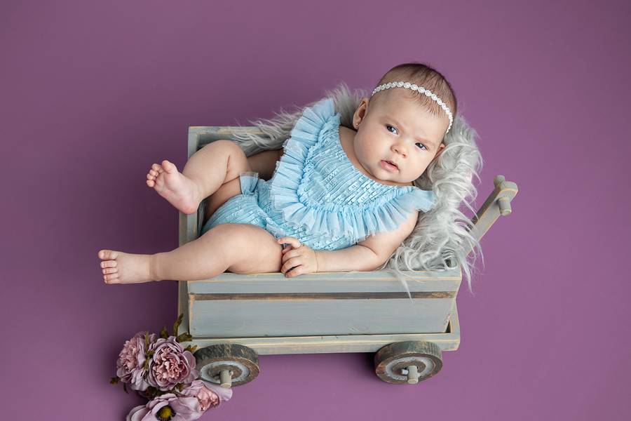 Acompanhamento Criativo de Acompanhamento Trimestral