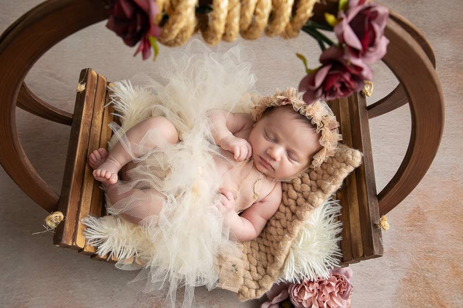 Newborn de Ensaio Newborn