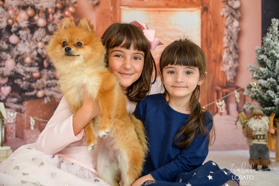 Mini Sessão de Natal da Marina, Vitória e Anita