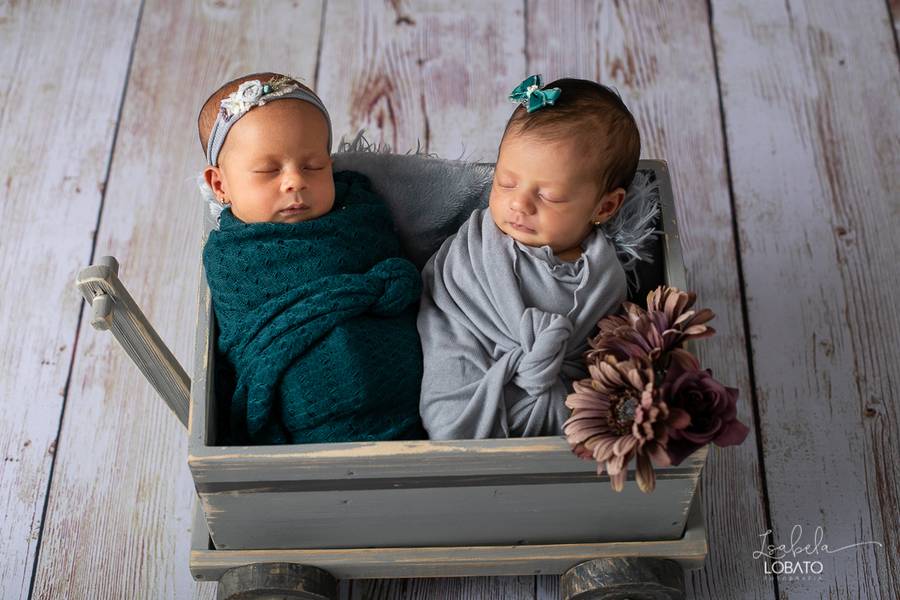 Newborn de Newborn Helena e Cecília - 12 dias