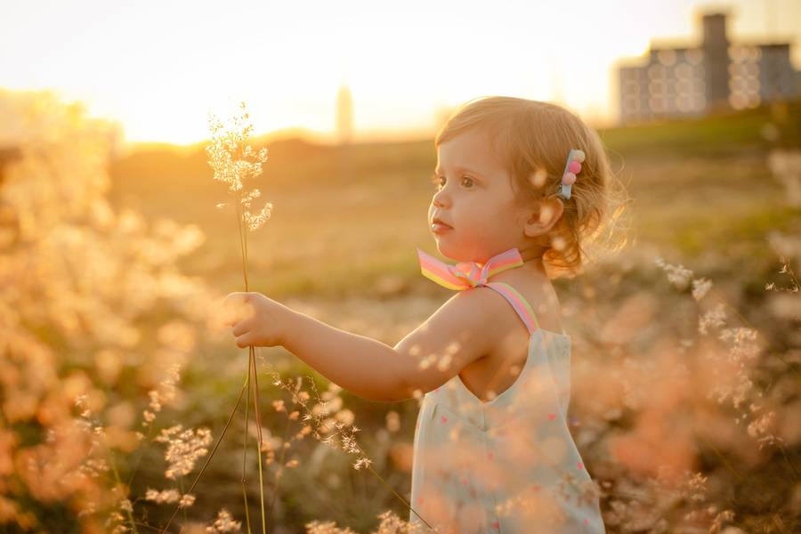 FAMÍLIA de Família Kelly