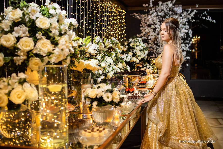 15 anos de Aniversário 15 anos - Dânica Ariel