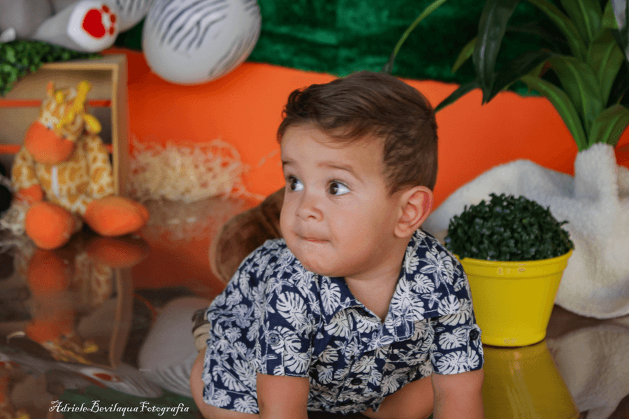 Smash The Cake de Smash the Cake - Safari -  Davi