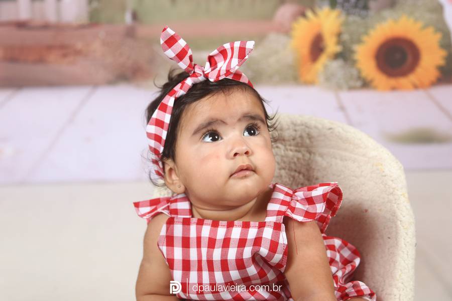 Estúdio Bebê de Maria Helena 6° mês 